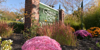 Emerald Edge Apartments - Affordable Housing Gallery 4