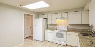 Newly Renovated Single Family Home | 3 BR/2BA | 1-Car Covered Parking | Gated backyard Gallery 9