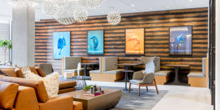 The Burton Gallery 34