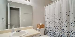 Available June 22nd! Beautiful Gallery 12