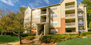 Ellington Woods Apartments Gallery 31