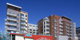 Instrata Little Italy Gallery 20