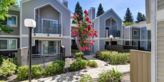 Rush River Gallery 37