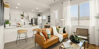 Canopy at Cottonwood Gallery 11