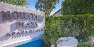 Mountain Plaza Gallery 35