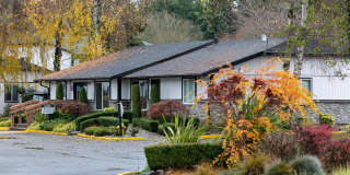 ReNew Dash Point Gallery 64