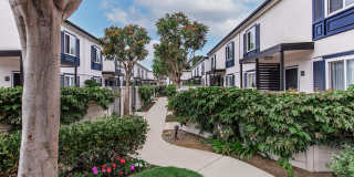 Sandpointe Cove Apartment Homes Gallery 5