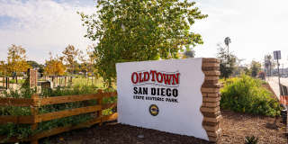 The Seaton Gallery 42