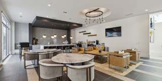 LynnCora Gallery 17