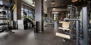 Madison West Elm Gallery 56