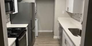 Palms of Clearwater Gallery 61