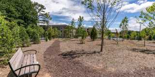 Sugarloaf Walk Gallery 29