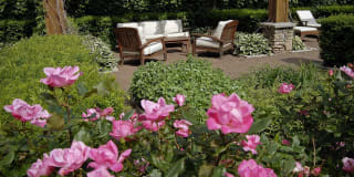 909 Walnut 909 Walnut Gallery 31