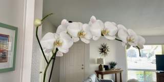 43622 Warner Trail Gallery 14