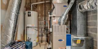 4 Black Pine Lane Gallery 42