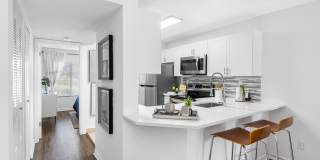 Boca Arbor Club Gallery 22