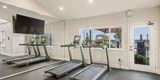 Arrive Magnolia Gallery 51