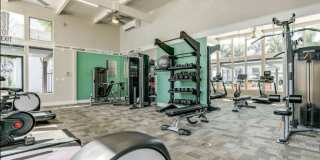 The Grove The Grove Gallery 3