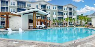 Waterleaf at Salt Creek Gallery 17