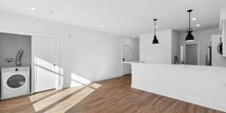 Mt Airy Meadows Gallery 8