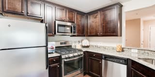 Regent's Park Gallery 14