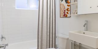 805 Dahlia Gallery 7