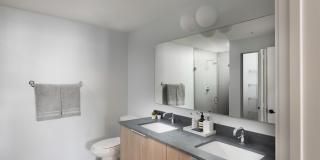 Biscayne 112 Gallery 11