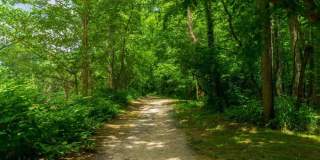 Hominy at RiverBlue Gallery 28