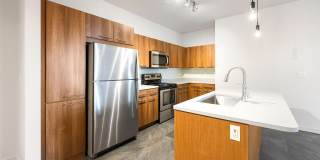 Olympus Alameda Gallery 11