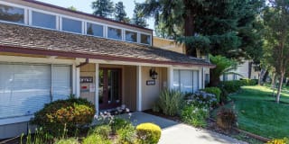 Evelyn Gardens Gallery 29