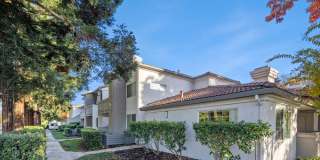 Terra at Portola Park Gallery 32