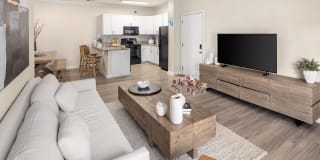 Conrad at Concord Mills Gallery 22