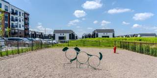 The Edison at Maple Grove Gallery 81