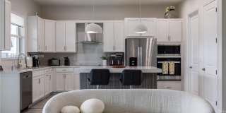 13939 Prickly Cone Cv Gallery 5