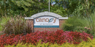 Canopy at Baybrook Canopy at Baybrook Gallery 51