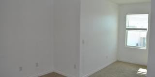 151 Maya Way Gallery 20
