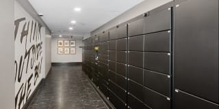 AMLI Quadrangle Gallery 32