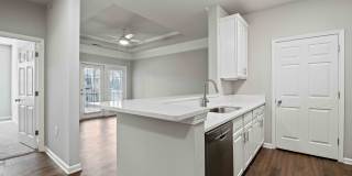 Lake Clearwater Gallery 52