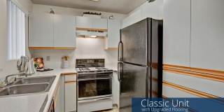 Castlepark Gallery 6