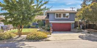 Beautiful home in Saratoga - Modern Comforts & Resort-Style Pool Gallery 1