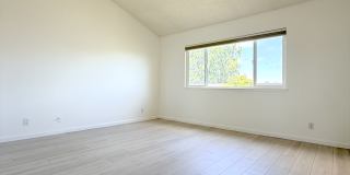 716 Nina Lane Gallery 23