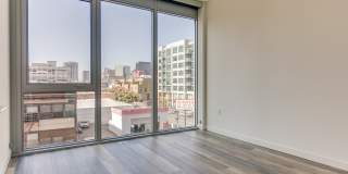 The Merian Gallery 33