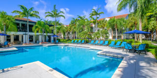 10X Port Royale 10X Port Royale Gallery 8