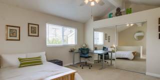 3843 Riviera Drive Gallery 10