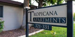 Tropicana Apartments Gallery 7