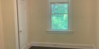 Treetop views in North Avondale Gallery 13