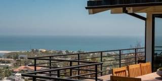 23701 Harbor Vista Dr Gallery 14