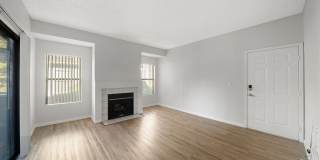 Bristle Pointe Gallery 18