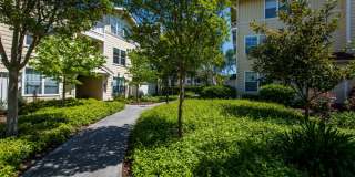 The Presidio Apartments Gallery 27