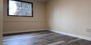 Beautifully Updated 4-Bedroom Home in Desirable Northeast Tacoma Beautifully Updated 4-Bedroom Home in Desirable Northeast Tacoma Gallery 32